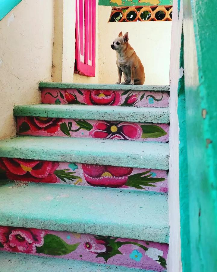 Hotel Gutierrez Селестун Екстериор снимка